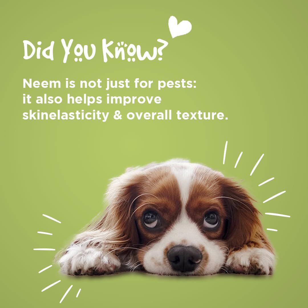 Pil Neem Plus Herbal Pet Shampoo 1000ml | Puppy Safe | Anti-Fungal, Anti-Ticks and Fleas, Antibacterial, Antiseptic & pH Balanced Dog Shampoo | Regular use Coat Cleansing Shampoo for Pets - Image 5